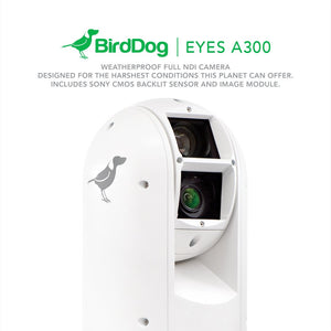 A300 IP67 Extreme Weatherproof 30x Full NDI PTZ Camera White