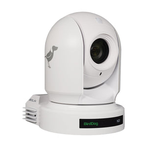 White BirdDog P200 PTZ Camera