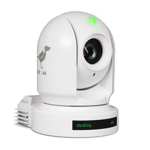 BDP400W 10-Bit 20x Full NDI 4K PTZ Camera (White)