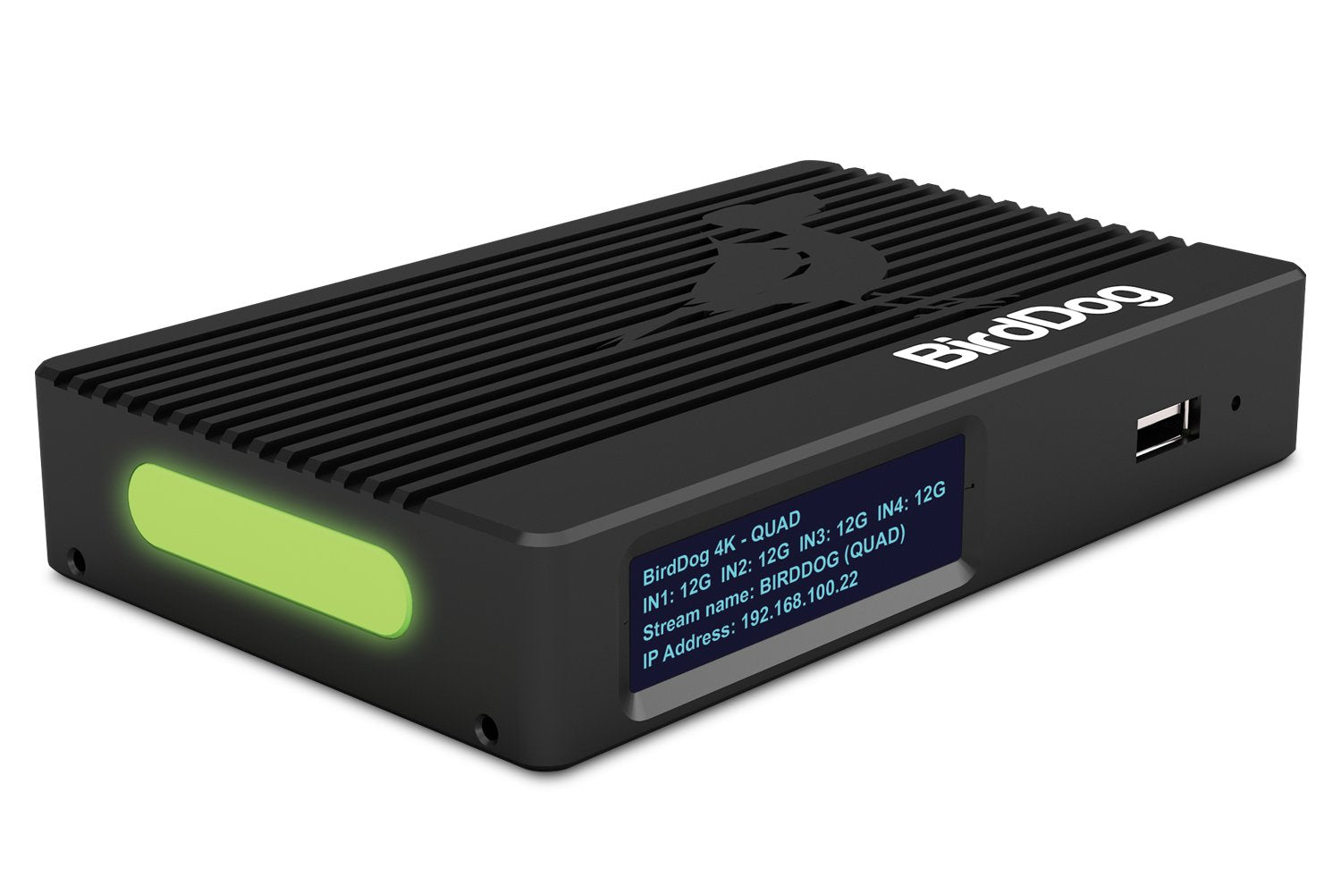 BirdDog 4K Quad NDI Encoder/Decoder